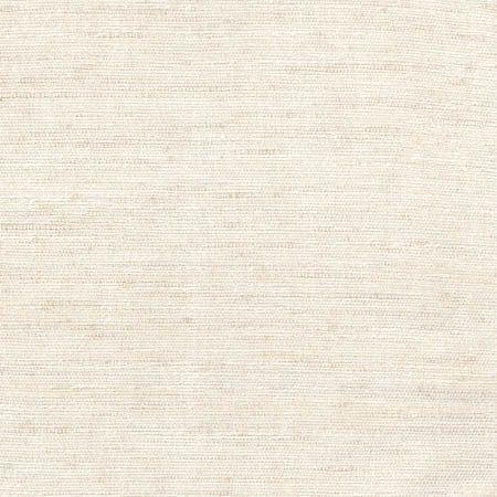 Training Day Natural by Carole Designer Fabric Toasted Almond 92% Polyester, 8% Cotton INDIA N/A None 54" - Swanky Fabrics -