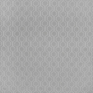 Carole Fabric Foretell This Dove