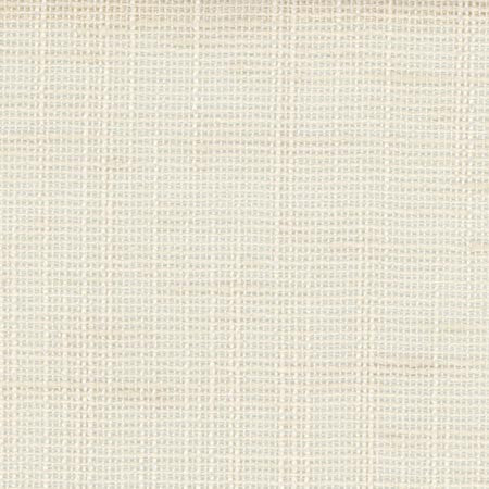 Slow Down Vanilla by Carole Designer Fabric COME HOME 100% Polyester India N/A Horizontal: 0" and Vertical: 0" 54" - Swanky Fabrics -