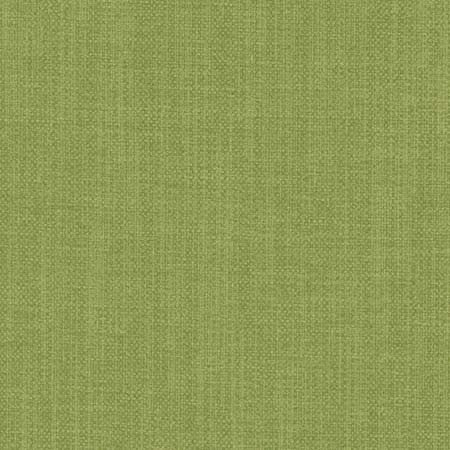 Liberty Green by Carole Designer Fabric Liberty,Liberty II 100% Polyester India None 54" - Swanky Fabrics -