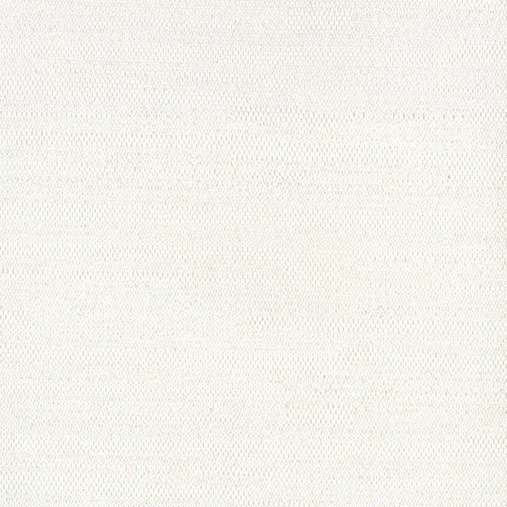 Aiden Off White by Carole Designer Fabric Opal 100% Polyester India N/A Horizontal: 0 and Vertical: 0 54 - Swanky Fabrics -