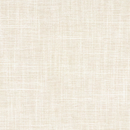 Big Thinker Abalone by Carole Designer Fabric Power Play 100% Polyester N/A None 55" - Swanky Fabrics -