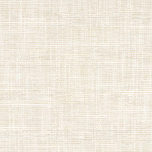 Carole Fabric Big Thinker Abalone