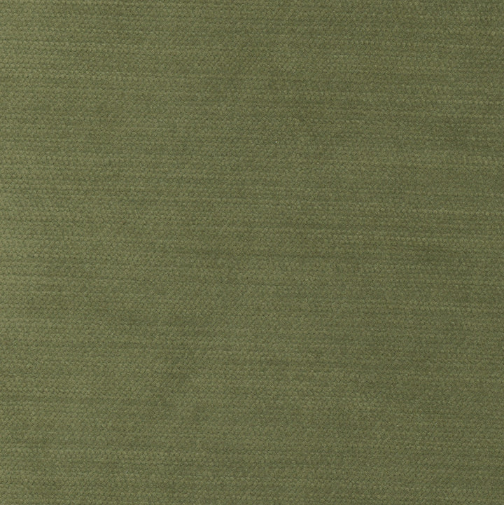 Cool Touch Homegrown by Carole Designer Fabric Touch Of Luxury 100% Polyester Turkey 50,000 Wyzenbeek Double Rubs Horizontal: 0 and Vertical: 0 54 - Swanky Fabrics -
