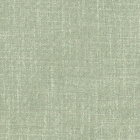Enthusiasm Mint by Carole Designer Fabric Laguna 100% Polyester INDIA None 54" - Swanky Fabrics -