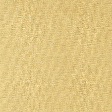 Regal Touch Camel by Carole Designer Fabric Touch Of Luxury 100% Polyester Turkey 15,000 Wyzenbeek Double Rubs None 55" - Swanky Fabrics -