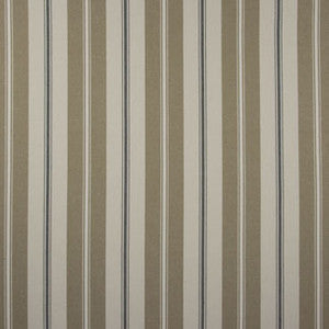 Carole Fabric Accentuate Wicker