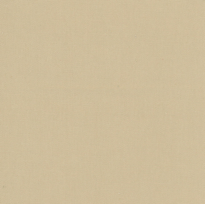 Daydreamer Sandstone by Carole Designer Fabric Daydreaming 100% Cotton- Soil Release USA Passes 30,000 Double Rubs Wyzenbeek Horizontal: 0 and Vertical: 0 54 - Swanky Fabrics -