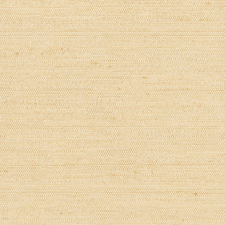Aiden Bone by Carole Designer Fabric Aiden Gallery,Chestnut,Subtle Hints 100% Polyester INDIA PASSES 30,000 DOUBLE RUBS WYZENBEEK </p><p>Repeat: None 56" - Swanky Fabrics -