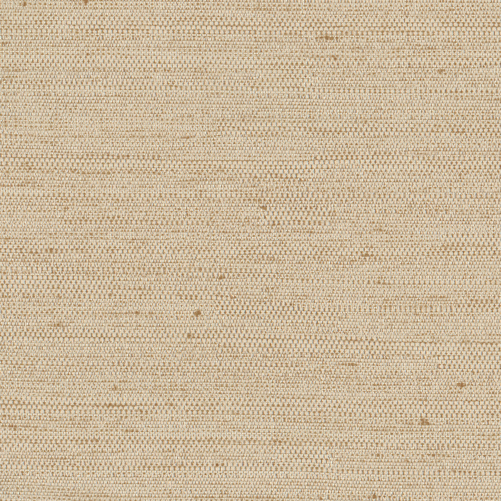 Aiden Natural by Carole Designer Fabric Opal 100% Polyester India N/A Horizontal: 0 and Vertical: 0 54 - Swanky Fabrics -
