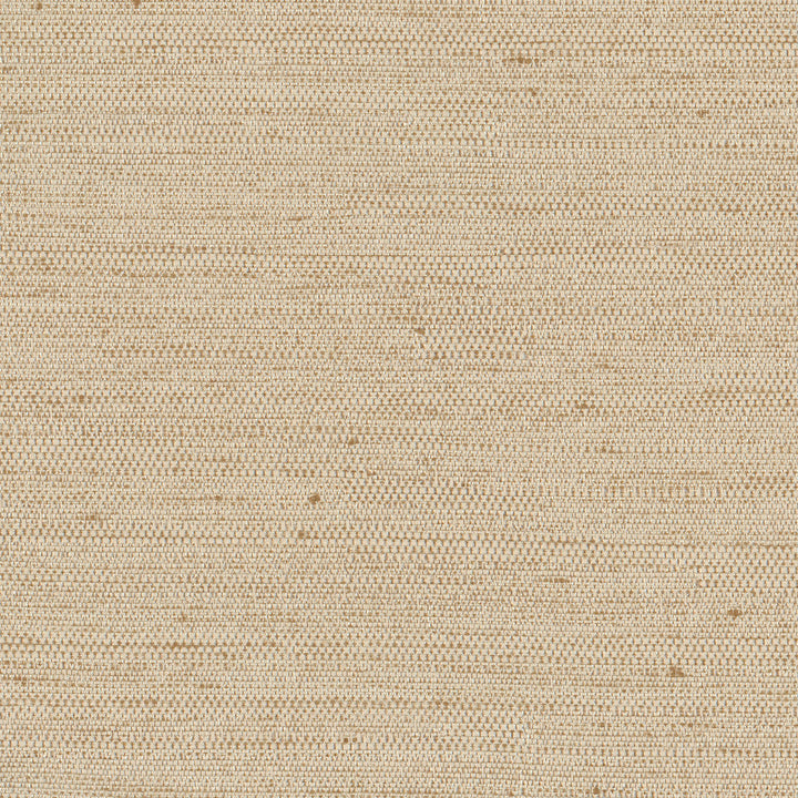 Aiden Natural by Carole Designer Fabric Opal 100% Polyester India N/A Horizontal: 0 and Vertical: 0 54 - Swanky Fabrics -