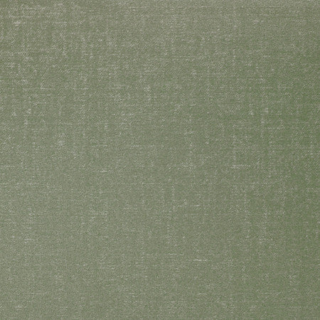 Swagger Aloe by Carole Designer Fabric Best Dressed 63% Polyester, 37% Cotton 60,000 Wyzenbeek Double Rubs None 54" - Swanky Fabrics -