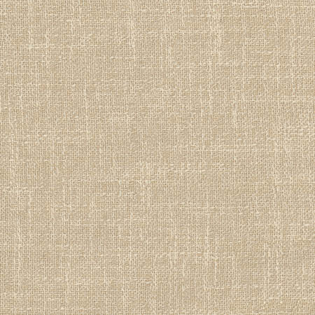 Enthusiasm Champagne by Carole Designer Fabric Toasted Almond 100% Polyester INDIA N/A None 54" - Swanky Fabrics -