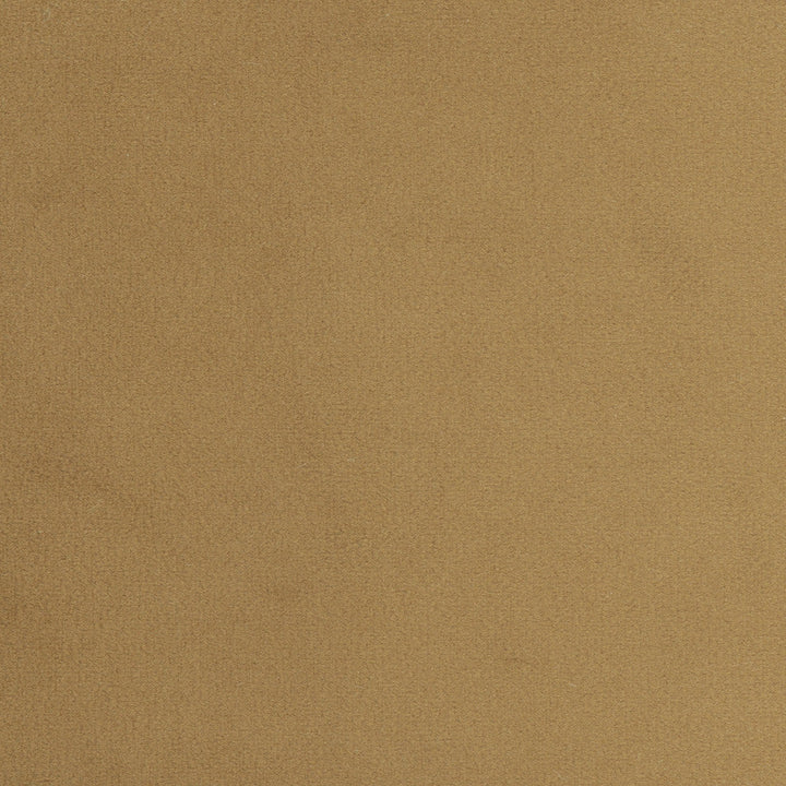 Plush Touch Camel by Carole Designer Fabric Touch Of Luxury 100% Polyester Knit Backing China 235,000 Wyzenbeek Double Rubs Horizontal: 0 and Vertical: 0 55 - Swanky Fabrics -