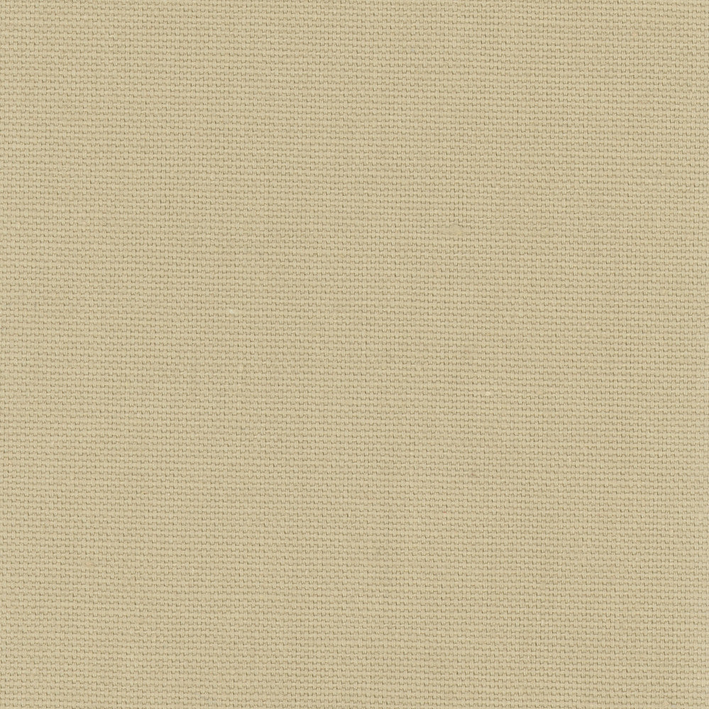 Daydreamer Raffia by Carole Designer Fabric Daydreaming 100% Cotton- Soil Release USA Passes 30,000 Double Rubs Wyzenbeek Horizontal: 0 and Vertical: 0 54 - Swanky Fabrics -