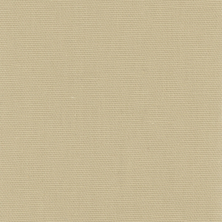 Daydreamer Raffia by Carole Designer Fabric Daydreaming 100% Cotton- Soil Release USA Passes 30,000 Double Rubs Wyzenbeek Horizontal: 0 and Vertical: 0 54 - Swanky Fabrics -