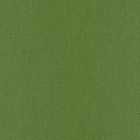 Comfort Kelly by Carole Designer Fabric Daydreaming 100% Cotton India Passes 21,000 Double Rubs Wyzenbeek Horizontal: None and Vertical: None 54" - Swanky Fabrics -