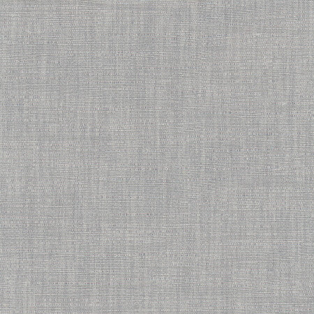 Athlete Concrete by Carole Designer Fabric Pewter 60% Cotton, 40% Polyester India Passes 50,000 Double Rubs Wyzenbeek None 55" - Swanky Fabrics -