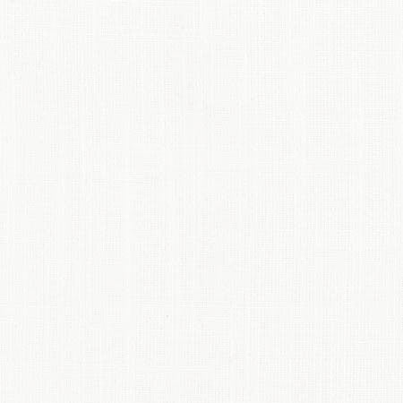 Aerial White by Carole Designer Fabric Opal,Dove Wing 100% Polyester India Passes 50,000 Double Rubs Wyzenbeek None 54" - Swanky Fabrics -