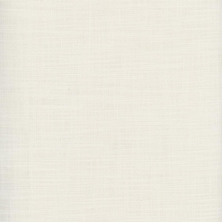 Fundamental Alabaster by Carole Designer Fabric Fundamental 100% Polyester Turkey Passes 20,000 Double Rubs Wyzenbeek Horizontal: 0 and Vertical: 0 54 - Swanky Fabrics -