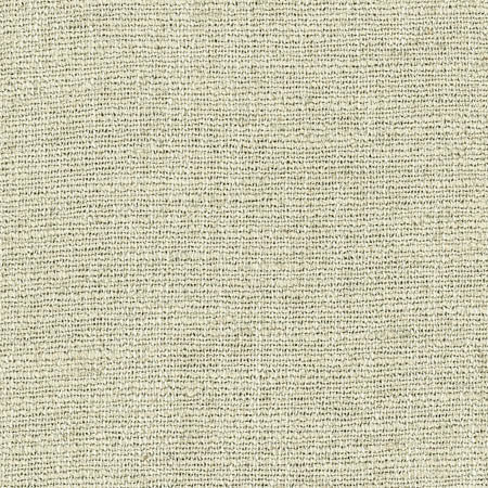 Warden Celery by Carole Designer Fabric Laguna 90% Polyester, 10% Linen CHINA None 55" - Swanky Fabrics -