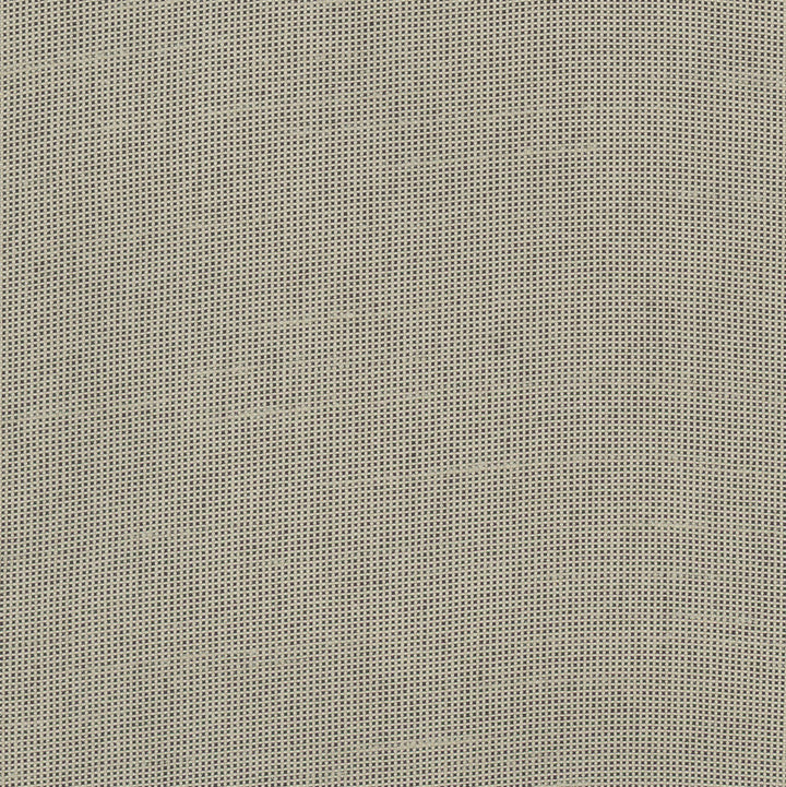 Fleeting Pebble by Carole Designer Fabric Royale 100% Polyester India Passes 50,000 Double Rubs Wyzenbeek Horizontal: 0 and Vertical: 0 54 - Swanky Fabrics -