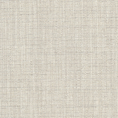 Cortland Oyster by Carole Designer Fabric Gala 100% Polyester India None 54.75" - Swanky Fabrics -