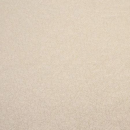 Gravel Path Parchment by Carole Designer Fabric State Of The Art 100% Polyester INDIA None 54" - Swanky Fabrics -