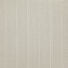 Carole Fabric Bluesy Stripe Flint