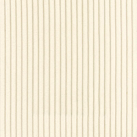Finest Grade Ivory by Carole Designer Fabric First Class 88% Polyester, 12% Nylon SPAIN 1/4" V 57" - Swanky Fabrics -