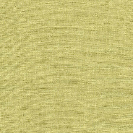 Training Day Lime by Carole Designer Fabric Laguna 92% Polyester, 8% Cotton INDIA N/A None 54" - Swanky Fabrics -