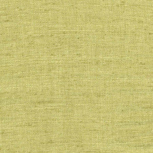 Carole Fabric Training Day Lime