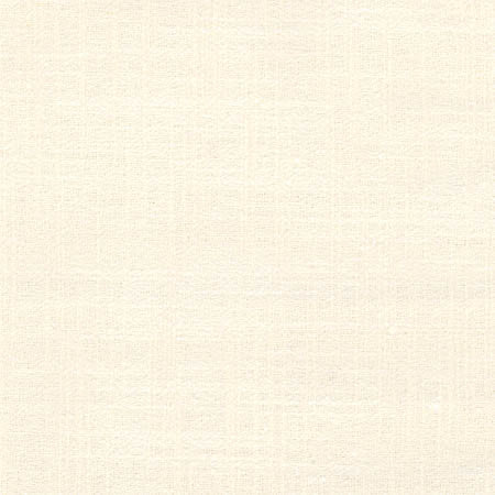 Sidewalk Pearl by Carole Designer Fabric Abode 100% Polyester India 100,000 Wyzenbeek Double Rubs None 54" - Swanky Fabrics -
