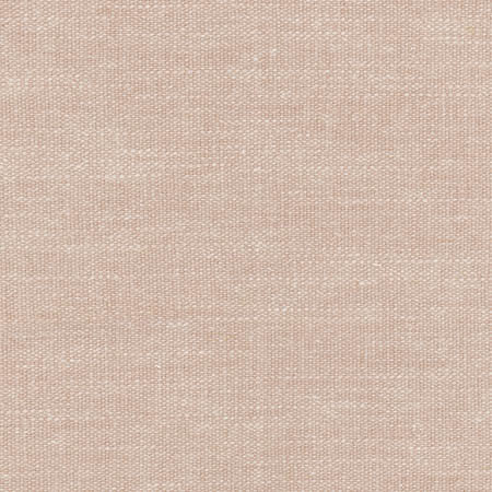 Carpenter Rosewater by Carole Designer Fabric Sunbaked 46% Cotton, 35% Polyester, 10% Linen, 9% Viscose INDIA 42,000 Wyzenbeek Double Rubs None 55" - Swanky Fabrics -
