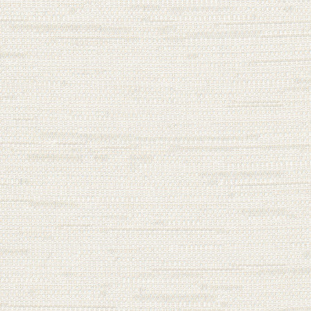 Cliff Top Alabaster by Carole Designer Fabric Excursion 66% Polyester, 34% Cotton India 36,000 Wyzenbeek Double Rubs None 56" - Swanky Fabrics -