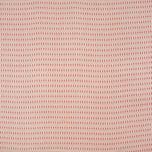 Carole Fabric Scavenger Hunt Canyon