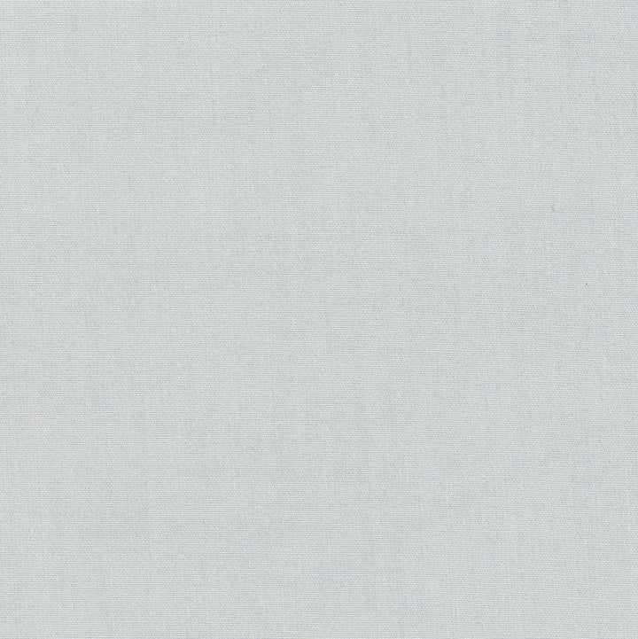 Tempt Sterling by Carole Designer Fabric Royale 100% IFR Polyester India Passes 45,000 Double Rubs Wyzenbeek Horizontal: 0 and Vertical: 0 54 - Swanky Fabrics -