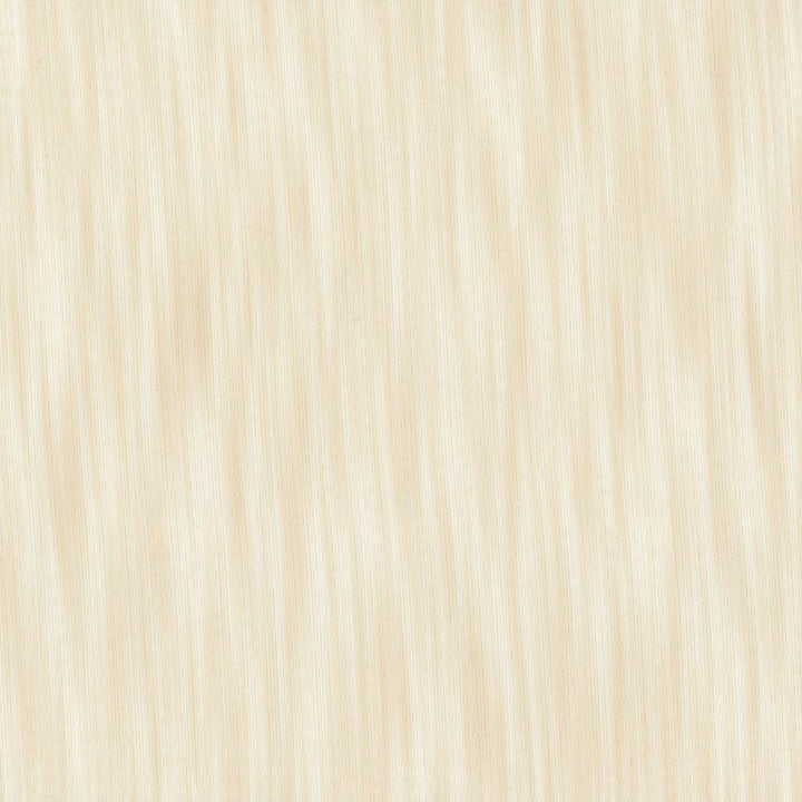 Main Street Sand by Carole Designer Fabric Sheer Structure 100% Polyester Turkey N/A Horizontal: 0 and Vertical: 0 118 - Swanky Fabrics -
