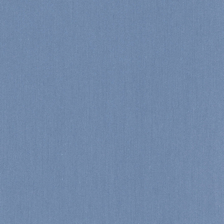 Comfort Coastal by Carole Designer Fabric Daydreaming 100% Cotton India Passes 21,000 Double Rubs Wyzenbeek Horizontal: 0 and Vertical: 0 54 - Swanky Fabrics -
