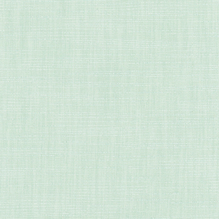 Athlete Seafoam by Carole Designer Fabric Celadon 60% Cotton, 40% Polyester India Passes 50,000 Double Rubs Wyzenbeek Horizontal: 0 and Vertical: 0 55 - Swanky Fabrics -