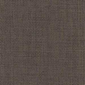 Carole Fabric Director's Cut Bark