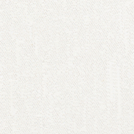 Inspire Snow by Carole Designer Fabric Synchrony 100% Polyester China None 57" - Swanky Fabrics -