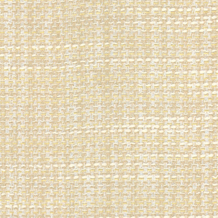 Endurance Sea Salt by Carole Designer Fabric Head Start 100% Polyester IFR Hybrid India 75,000 Wyzenbeek Double Rubs None 54" - Swanky Fabrics -