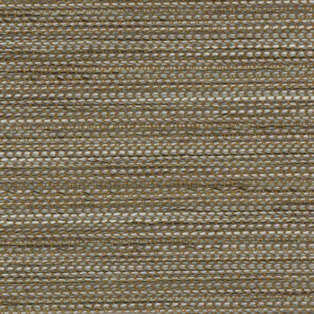 Forestall Shadow by Carole Designer Fabric Synchrony 100% Polyester Mexico 30,000 Wyzenbeek Double Rubs None 58" - Swanky Fabrics -