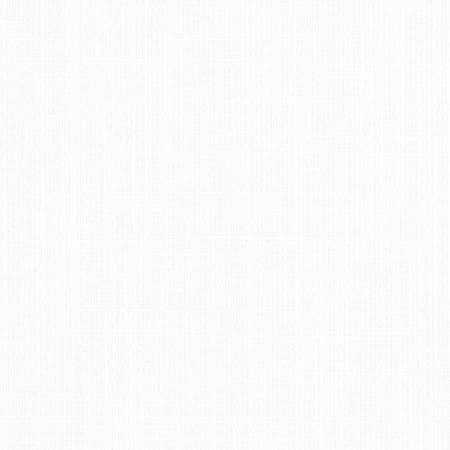 Duty Calls Glacier by Carole Designer Fabric Dove Wing 77% Polyester, 14% Cotton, 9% Linen INDIA N/A None 54" - Swanky Fabrics -