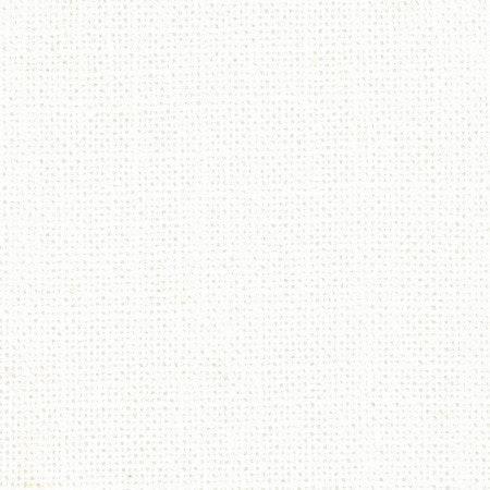 Defense Winter White by Carole Designer Fabric Opal 95% Polyester, 5% Linen China Passes 110,000 Double Rubs Wyzenbeek Horizontal: None and Vertical: None 57" - Swanky Fabrics -