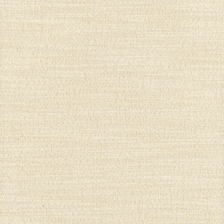 Say Yes Twilight by Carole Designer Fabric WINNER'S CIRCLE 78% Polyester, 22% Viscose India N/A </p><p>Repeat: None 55" - Swanky Fabrics -