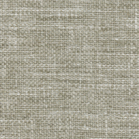 Lazarus Willow by Carole Designer Fabric Prominence 54% Cotton, 46% Polyester India None 54" - Swanky Fabrics -