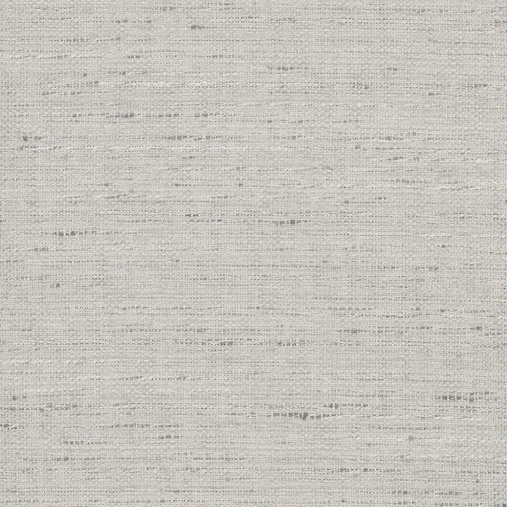 Foreseeable Platinum by Carole Designer Fabric Pewter 100% Polyester India N/A Horizontal: 0 and Vertical: 0 54 - Swanky Fabrics -