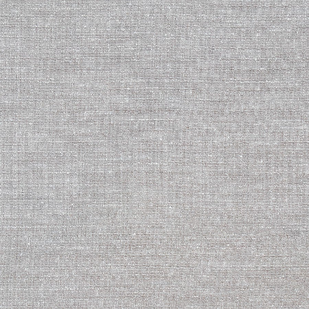 Sensational Pewter by Carole Designer Fabric Best Dressed 100% Polyester N/A None 54" - Swanky Fabrics -